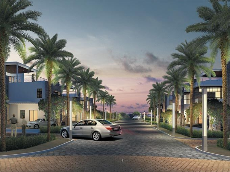 Prestige White Meadows